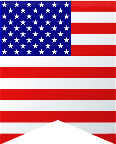 US Domestic
